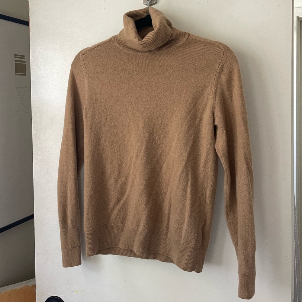Everlane Cashmere Turtleneck
